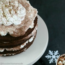 Hot Cocoa Cake.PAGE