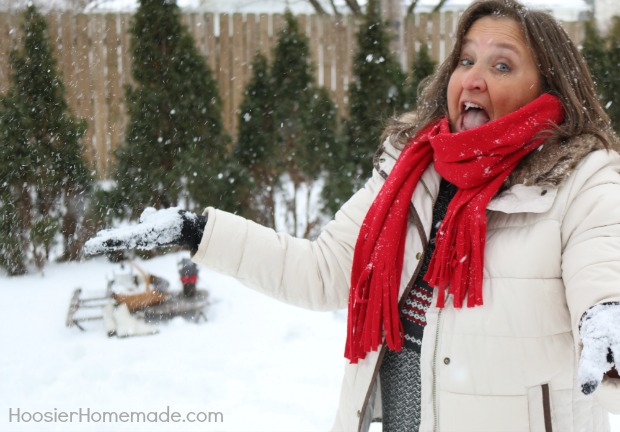 Snow in Indiana