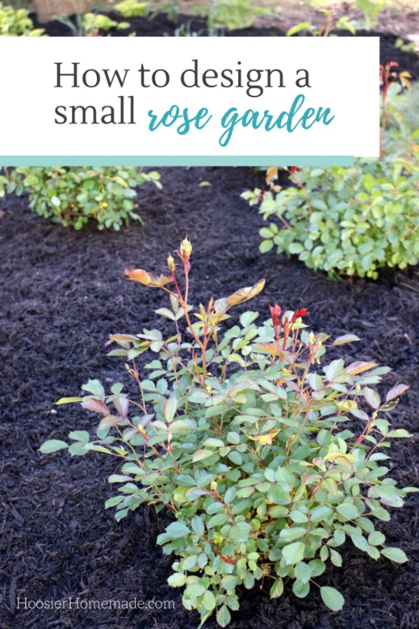HOW TO DESIGN A SMALL ROSE GARDEN - Learn how to design and plant your own rose garden