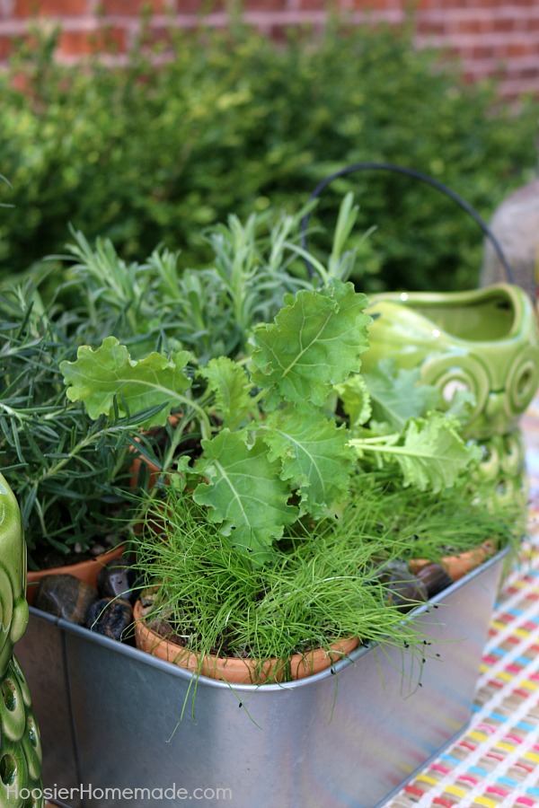 With just a few simple supplies you can create this Indoor Herb Planter. Use it on your table for a centerpiece, then bring it into the kitchen and use the herbs for cooking!