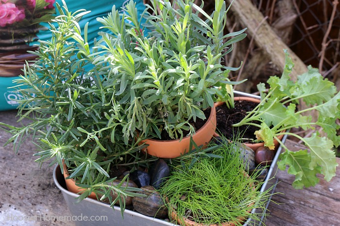 Indoor Herb Planter