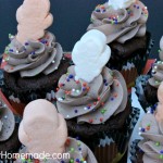 Double Chocolate Cupcakes :: Recipe on HoosierHomemade.,com