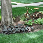 Landscaping 042