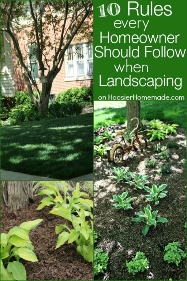 Everyone wants a yard that is beautiful and easy to take care of! These 10 Rules every homeowner should follow when landscaping will make it easy and fun for you! Click on the Photo to learn more!