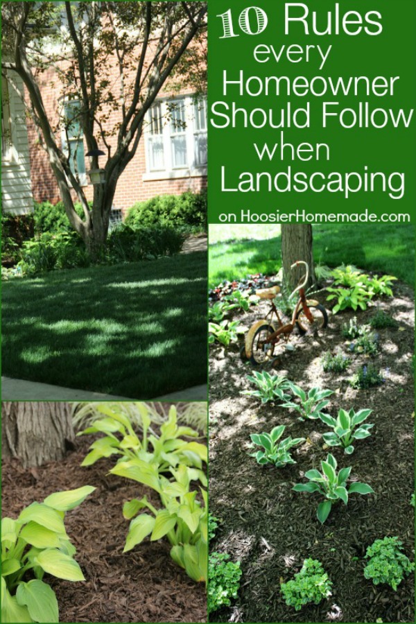 10 Rules Every Homeowner Should Follow When Landscaping ...