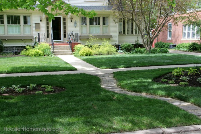 Landscaping-Yard