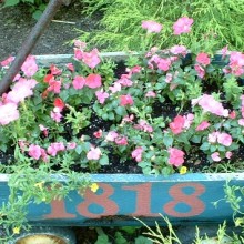 Landscaping.featured