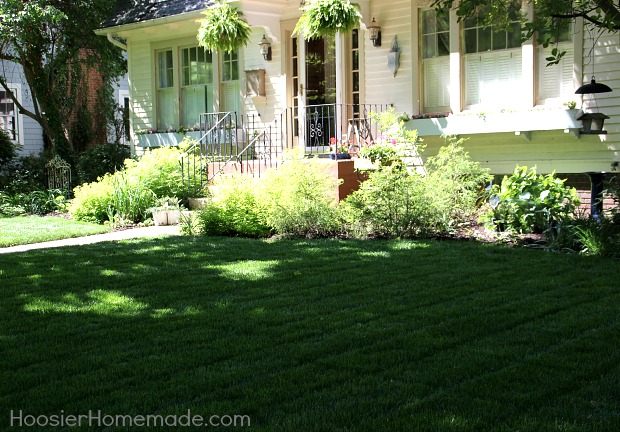 Tips for Homeowners when Installing Sod | Details on HoosierHomemade.com