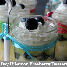 Lemon-Blueberry-Dessert.Day17
