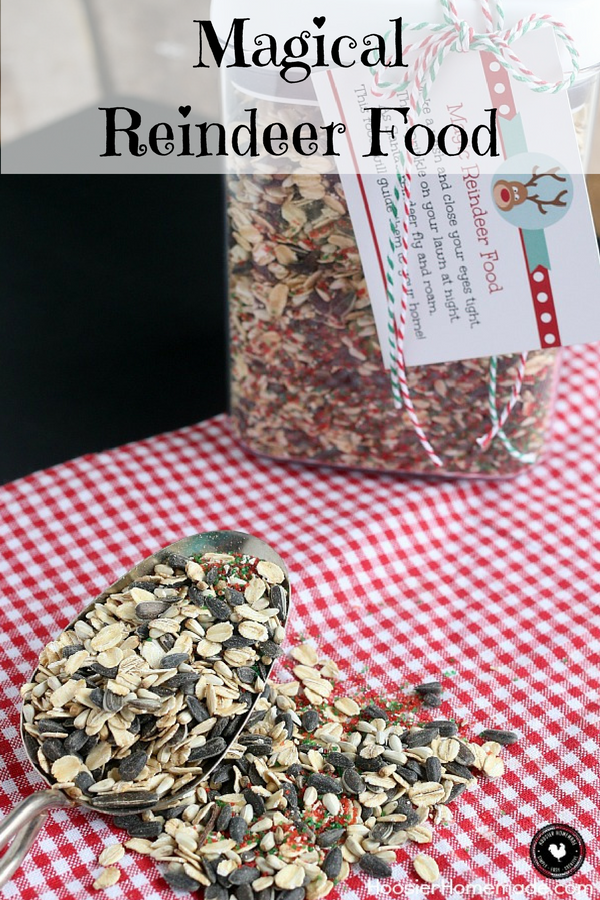 Magical Reindeer Food Recipe