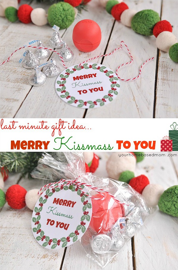 The perfect last minute Christmas gift idea! Print the FREE Christmas tag, fill a bag with kisses and EOS Lip Balm! Visit our 100 Days of Homemade Holiday Inspiration for more recipes, decorating ideas, crafts, homemade gift ideas and much more!