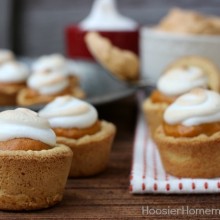 Fire up your oven! Here are 12 Amazing Pumpkin Desserts for you to choose from! Pin to your Pumpkin Board!