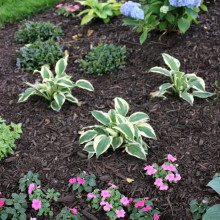 Mulch.slider