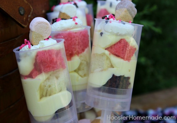 Neapolitan Cake Push Pops :: Recipe on HoosierHomemade.com