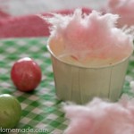 Cotton Candy No Bake Mini Cheesecakes :: Recipe on HoosierHomemade.com
