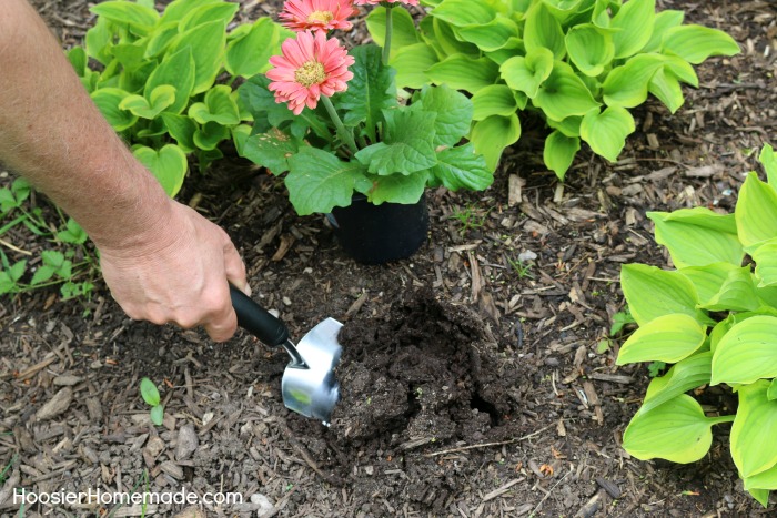 Garden Trowel