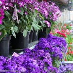 Outdoor Living at Walmart :: HoosierHomemade.com