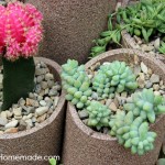 How to build and plant a Succulent Garden :: Instructions on HoosierHomemade.com