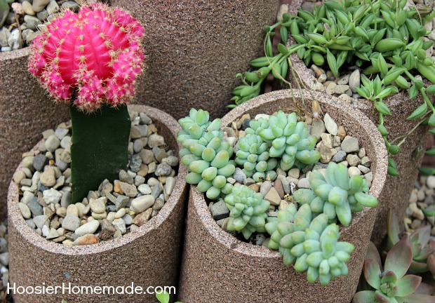 How to build and plant a Succulent Garden :: Instructions on HoosierHomemade.com