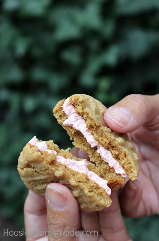 Peanut Butter & Jelly Sandwich Cookies :: Recipe on HoosierHomemade.com