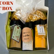 popcorn seasoning gift set
