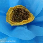 How to make Giant Tissue Paper Flowers :: Instructions on HoosierHomemade.com