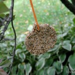 Pennington-Bird-Seed.Ornaments.3