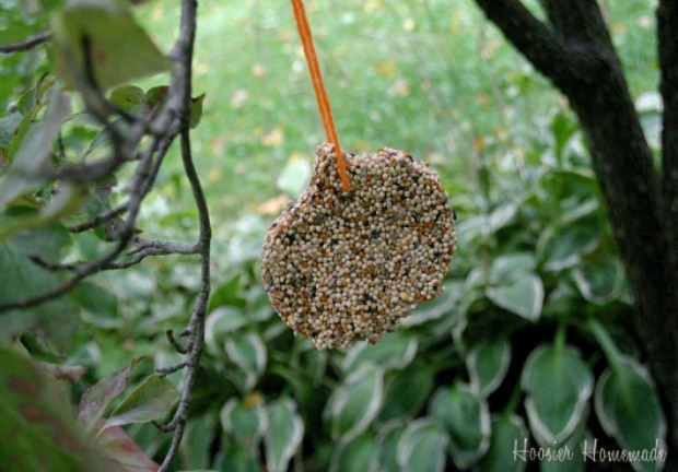 Bird Seed Ornaments on HoosierHomemade.com