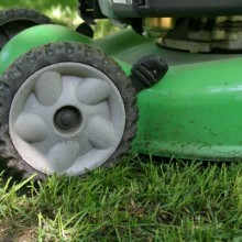 Pennington-Seed.mower