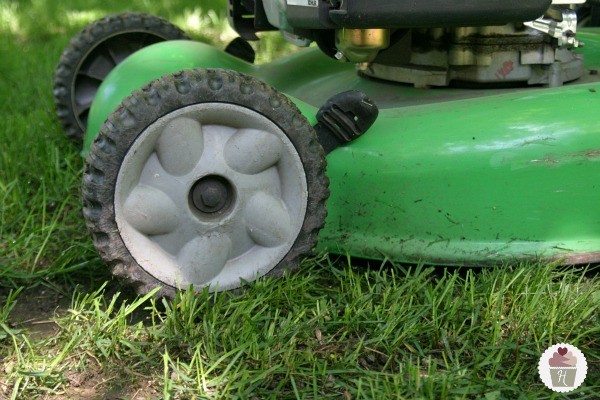 Tips For Reseeding A Lawn Hoosier Homemade | Motorcycle ...