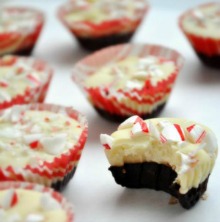 Peppermint-Bark-Cups-Day87