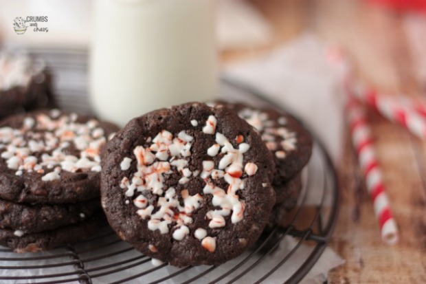 Peppermint Chocolate Chipsters : 100 Days of Homemade Holiday Inspiration on HoosierHomemade.com