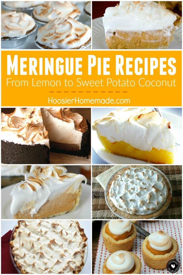Meringue Pie Recipes - perfect for Thanksgiving and the holidays! From Chocolate to Pumpkin to Lemon and even HOW to make Meringue! We have you covered!