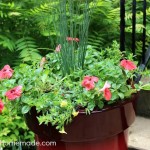 How to add Curb Appeal :: HoosierHomemade.com