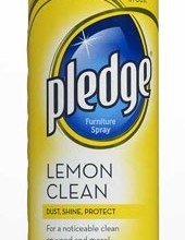 Pledge-175