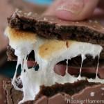PopTarts S'Mores :: HoosierHomemade.com