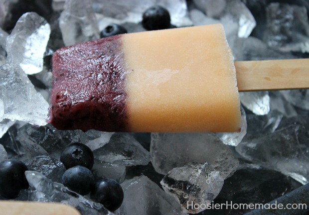 Homemade Fresh Fruit Popsicles :: Recipe on HoosierHomemade.com