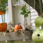 Pumpkin-Feeder.featured