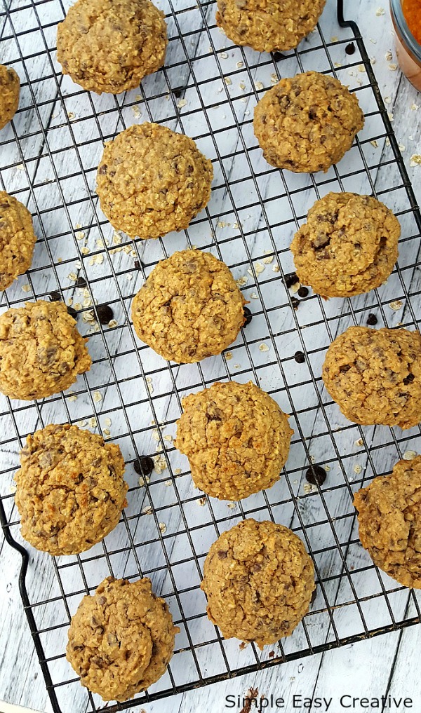 PUMPKIN OATMEAL CHOCOLATE CHIP COOKIES