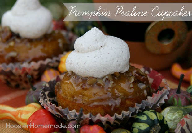 Pumpkin Praline Cupcakes Recipe on HoosierHomemade.com