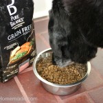 Pure Balance Dog Food.Rocky
