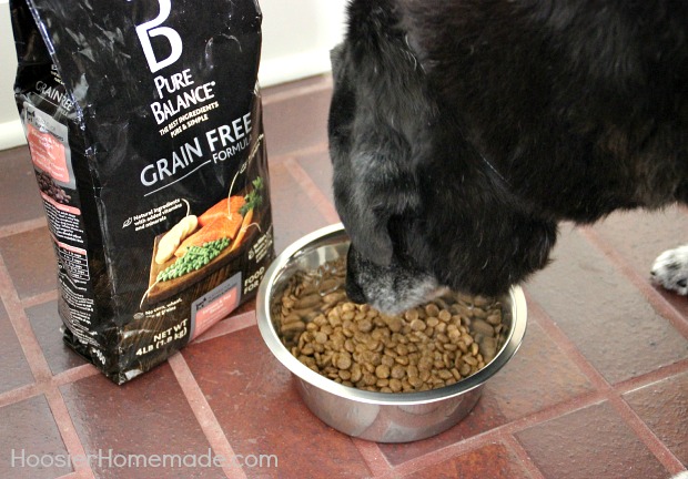 Pure Balance Dog Food.Rocky