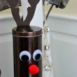Reindeer Feed.S