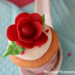 Rose Cupcakes - January 2013