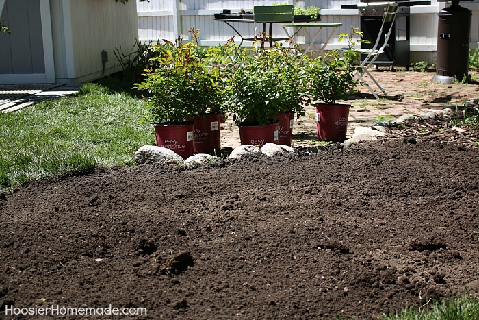 HOW TO DESIGN A SMALL ROSE GARDEN - Learn how to design and plant your own rose garden