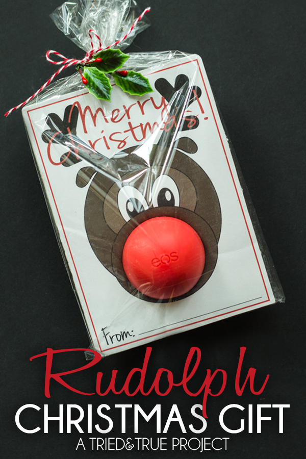 Perfect for friends, co-workers, post man and more! This Rudolph Christmas Gift comes with a FREE Printable! Visit our 100 Days of Homemade Holiday Inspiration for more recipes, decorating ideas, crafts, homemade gift ideas and much more!