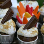 S'Mores Cupcake Bites :: Recipe on HoosierHomemade.com