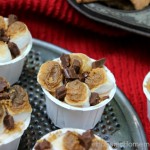 No Bake Mini S'Mores Cheesecake :: Recipe on HoosierHomemade.com