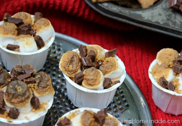 No Bake Mini S'Mores Cheesecake :: Recipe on HoosierHomemade.com