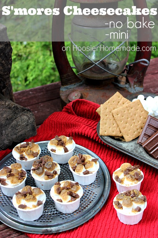 No-Bake S'mores Mini Cheesecakes - Handle the Heat